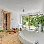 Lisjak - *