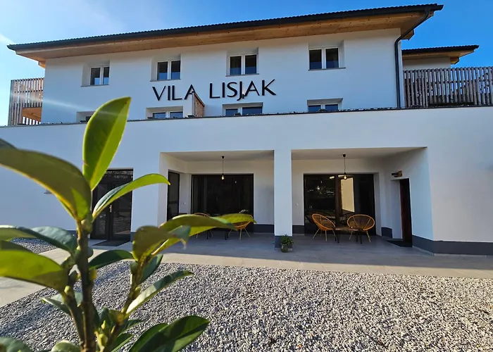 Lisjak - * 포드체트르테크